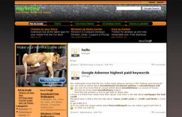 Product picture Adsense Ready Wordpress Theme !